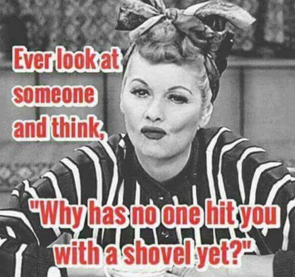 🌱Karen🌱 tweet media