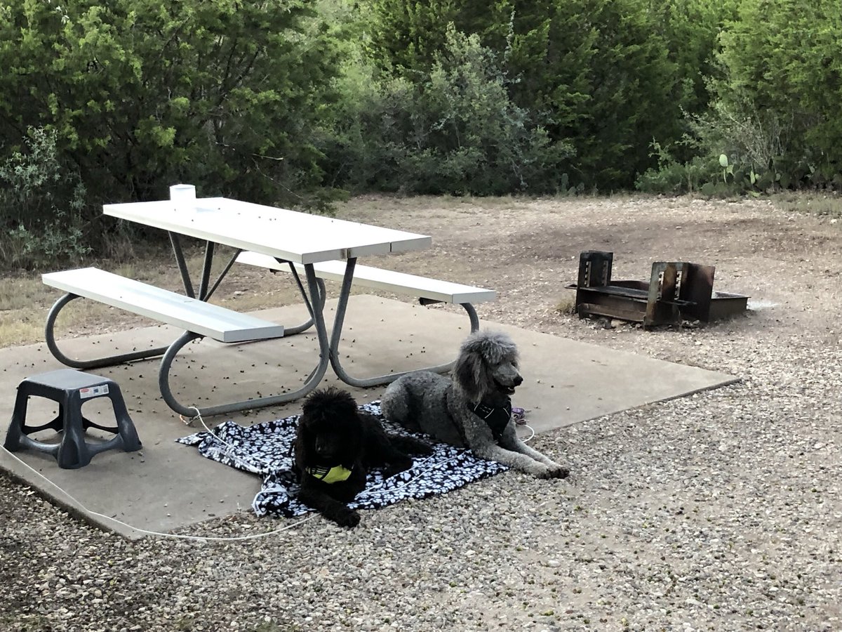 PoodleProfesso1's tweet photo. @TPWDparks At a Texas State Park! https://t.co/gVcr9deAD7