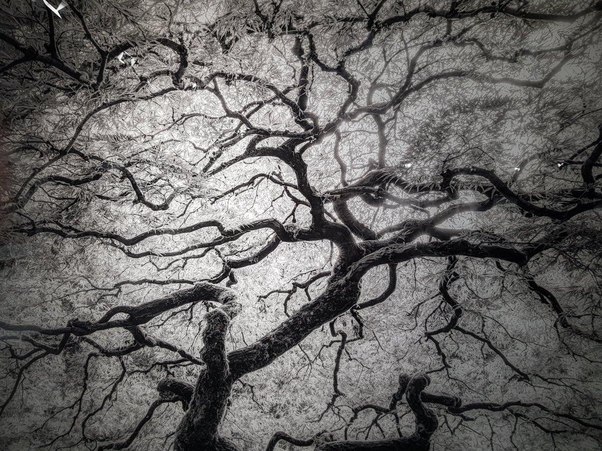 Nice2030_actu's tweet photo. « Une Ode à la Nature » 📸
Très belle expo d'une cinquantaine de tirages signés du photographe américain Jeffrey Conley, à voir au Musée de la Photographie Charles Nègre jusqu'au 24 septembre.
#Nice06 #musée #expo #photo #JeffreyConley https://t.co/13PGl95R47