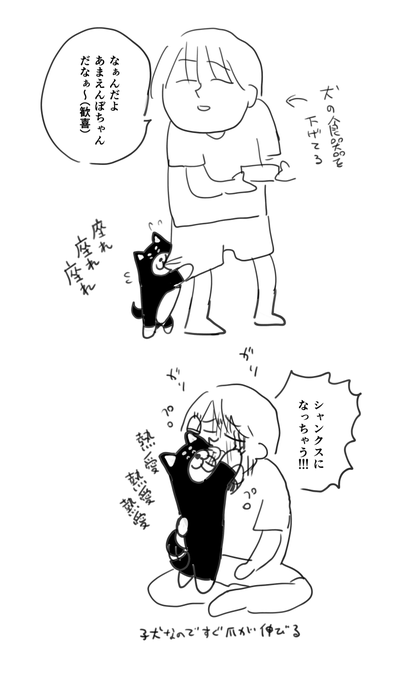 子犬の日記です 