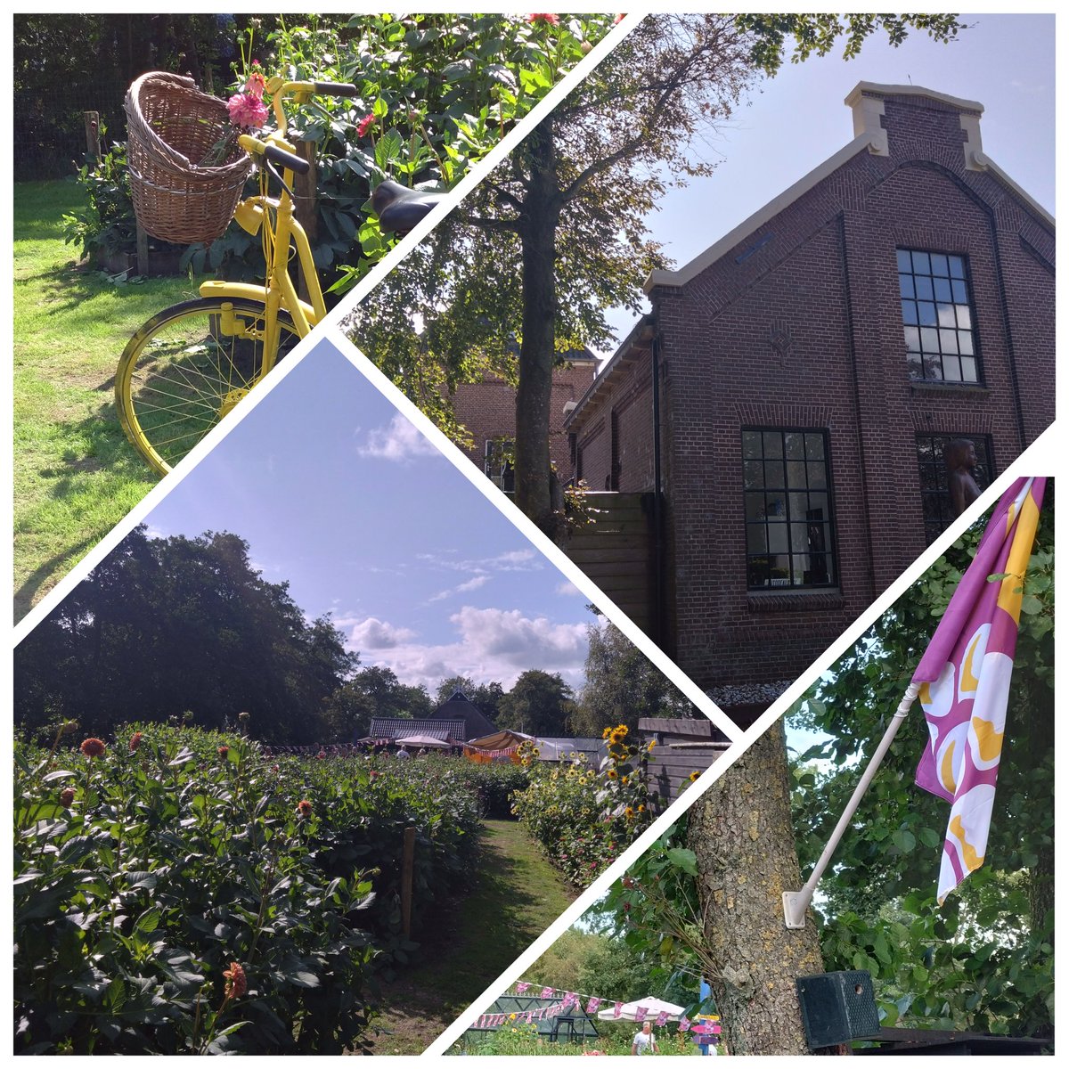 Brommels, toarnbeien, bramen. <a href="/brommelsfestijn/">brommelsfestijn</a>  zet eten (smullen zeg maar), zelf plukken, regio, onderhouders van het landschap etc.  in de schijnwerpers.