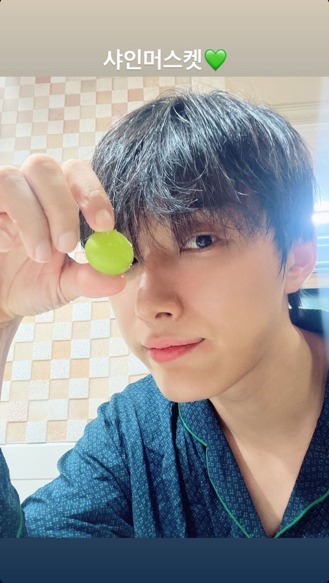 「 #STORY • 26.08.23 」 @//jaehan__k

“Uva brilhante💚”

#OMEGA_X #오메가엑스 #OX #재한 #JAEHAN