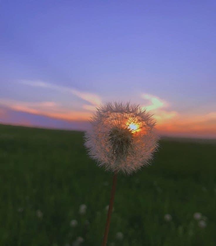 artindetails's tweet photo. make a wish. https://t.co/AByfFlKi5I