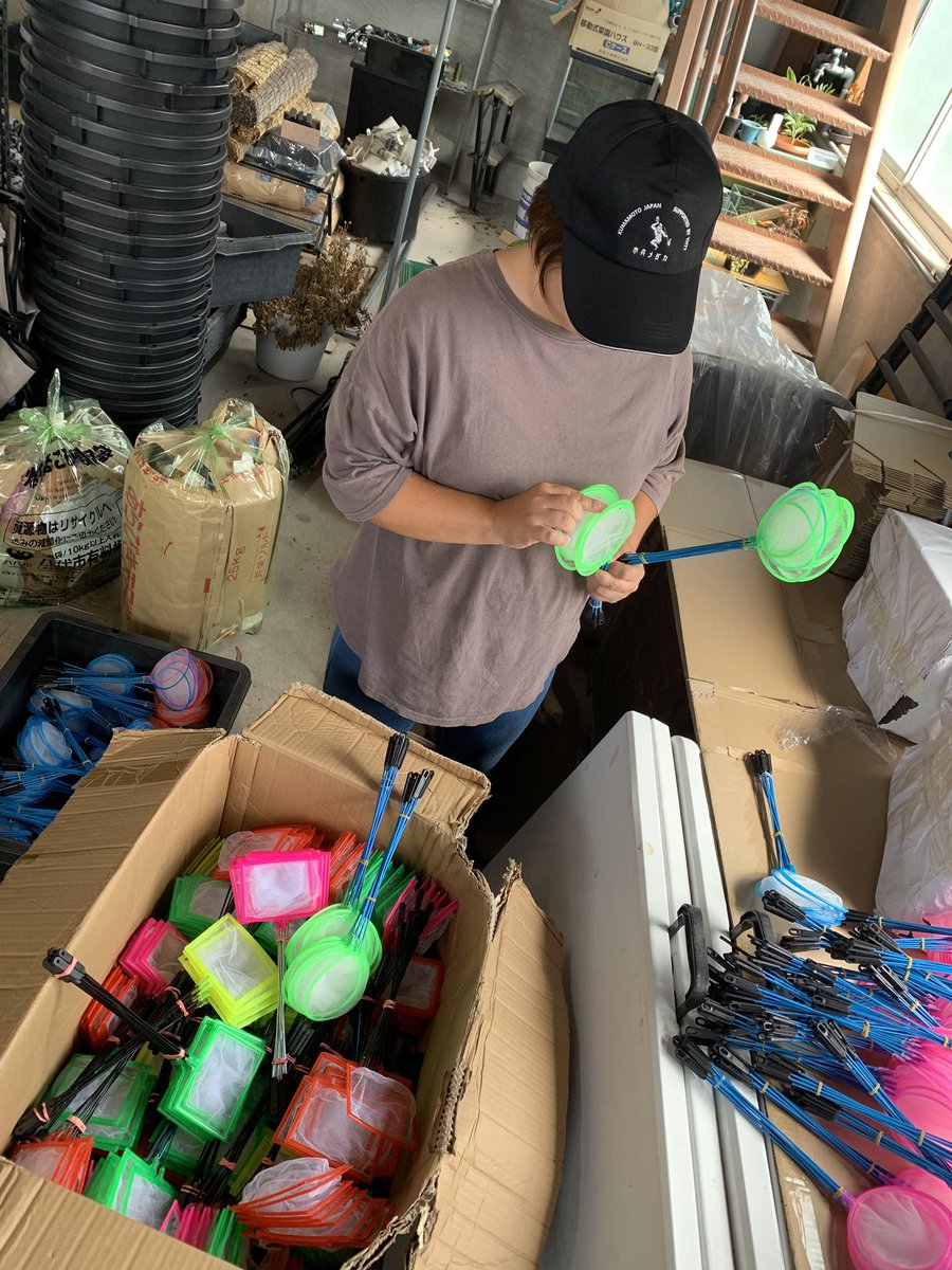 the_suihei's tweet photo. 水兵海外へ進出、量産体制は滞りなく完了致しました⚓️
オリジナル、既製品、大量にやっちゃいます⚓️
明日、直売所にて販売致します⚓️
御商談も承ります🫡

#めだか
#めだか飼育 
#めだか初心者 
#めだか好きと繋がりたい 
#めだか販売 
#熊本 
#やつしろ 
#水兵メダカ https://t.co/oYeBGJghCb