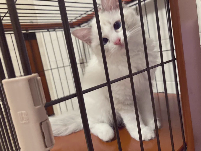 かわいいね!! 可愛いねー わっ!!!!!!!!!!!!