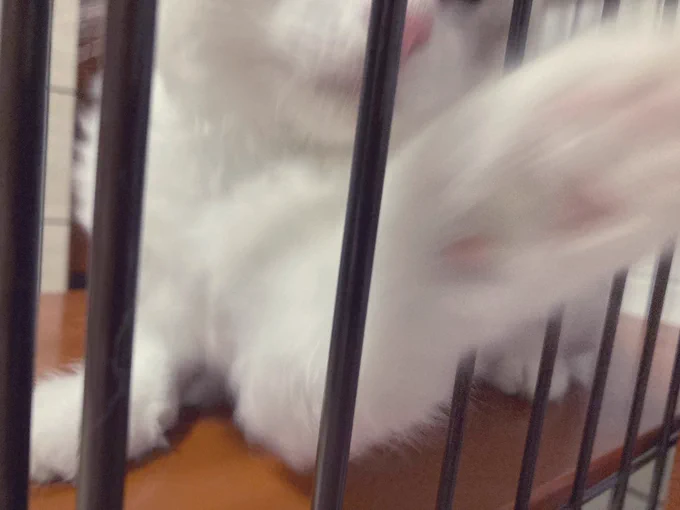 かわいいね!! 可愛いねー わっ!!!!!!!!!!!!