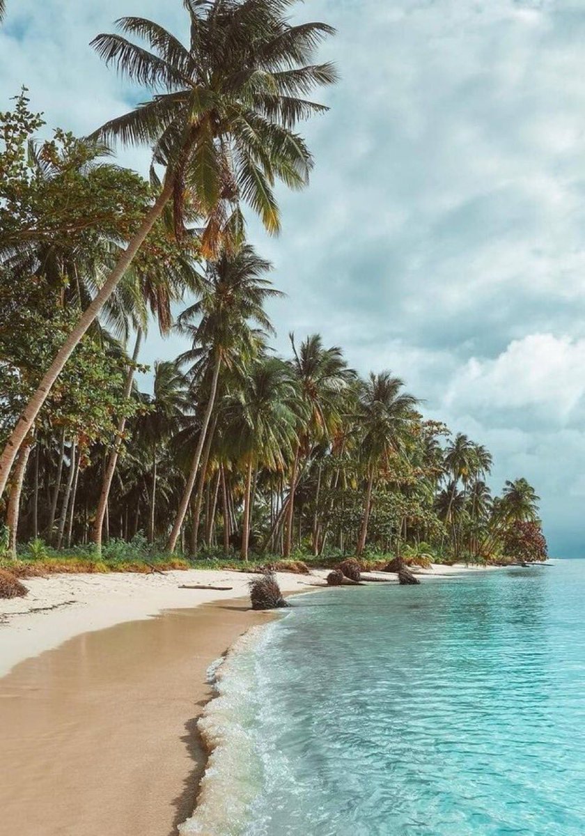 francesublime's tweet photo. Guadeloupe, France 🇫🇷 https://t.co/XJLqR0zOhx