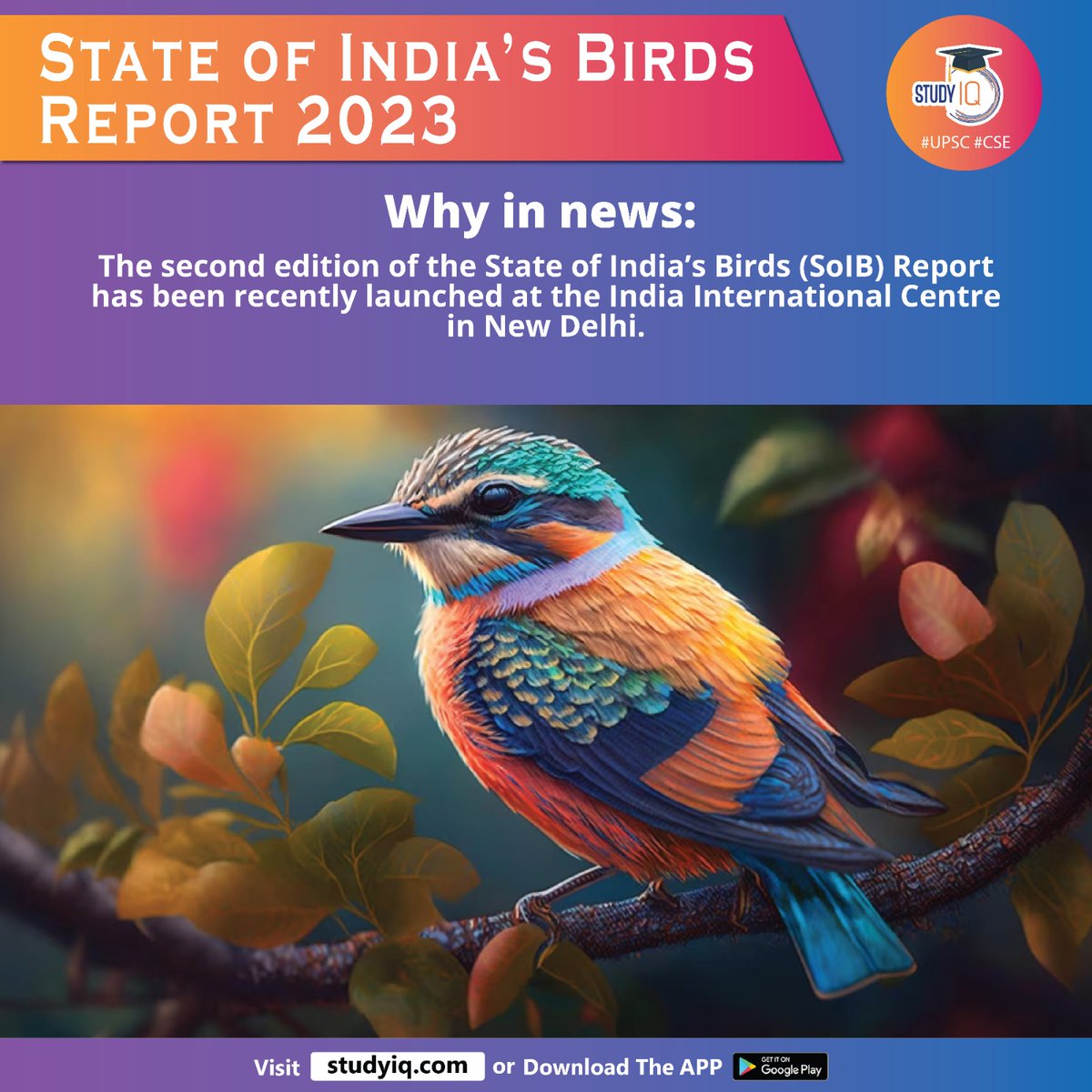 upsciq's tweet photo. State of India's Birds Report 2023

#stateofindiabirdsreport #birdsreport2023 #india #whyinnews #soib #newdelhi #shorebirds #ducks #indiacourser #narcondamhornbill #rockpigeon #crow #greatindianbustard #florican #vultures #westernghats #srilanka #upsc #cse #ips #ias https://t.co/i3qp6ocIa7