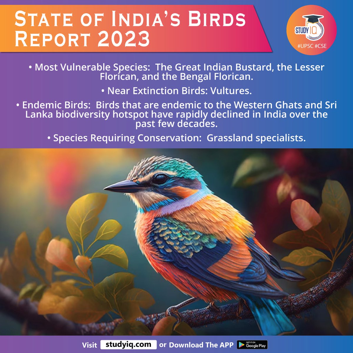 upsciq's tweet photo. State of India's Birds Report 2023

#stateofindiabirdsreport #birdsreport2023 #india #whyinnews #soib #newdelhi #shorebirds #ducks #indiacourser #narcondamhornbill #rockpigeon #crow #greatindianbustard #florican #vultures #westernghats #srilanka #upsc #cse #ips #ias https://t.co/i3qp6ocIa7