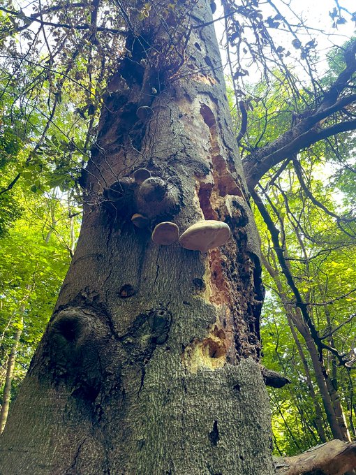 Nature is so beautiful 😍💚🥰 don&rsquo;t you think so? 😜🥰💚 https://t.co/10RhcD0NnL<a href="/tag/sky"class="tags"><span>#sky</span></a><a href="/tag/russia"class="tags"><span>#russia</span></a><a href="/tag/%D0%BF%D0%B8%D1%82%D0%B5%D1%80"class="tags"><span>#питер</span></a><a href="/tag/natalygold"class="tags"><span>#natalygold</span></a>