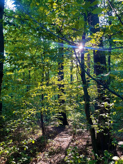 Nature is so beautiful 😍💚🥰 don&rsquo;t you think so? 😜🥰💚 https://t.co/10RhcD0NnL<a href="/tag/sky"class="tags"><span>#sky</span></a><a href="/tag/russia"class="tags"><span>#russia</span></a><a href="/tag/%D0%BF%D0%B8%D1%82%D0%B5%D1%80"class="tags"><span>#питер</span></a><a href="/tag/natalygold"class="tags"><span>#natalygold</span></a>
