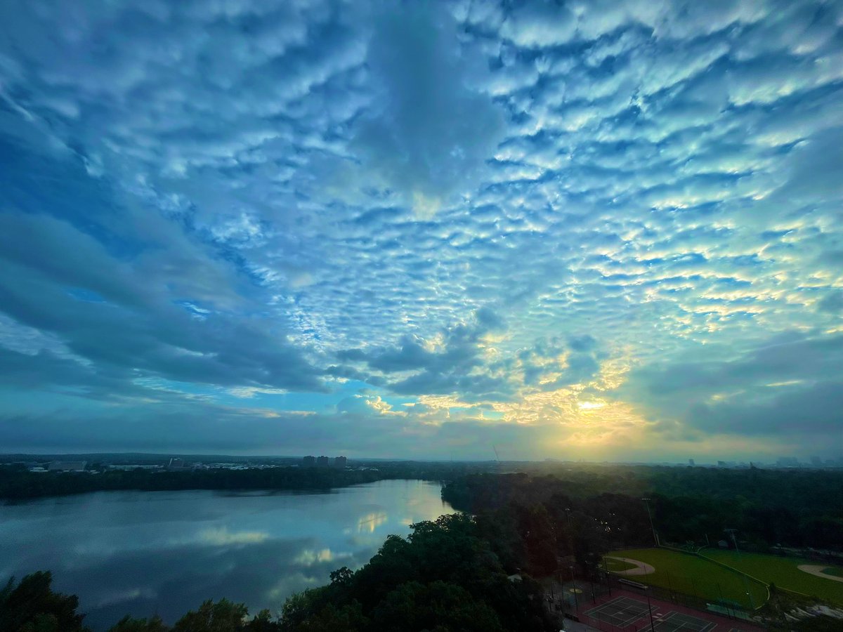 peter payack tweet media