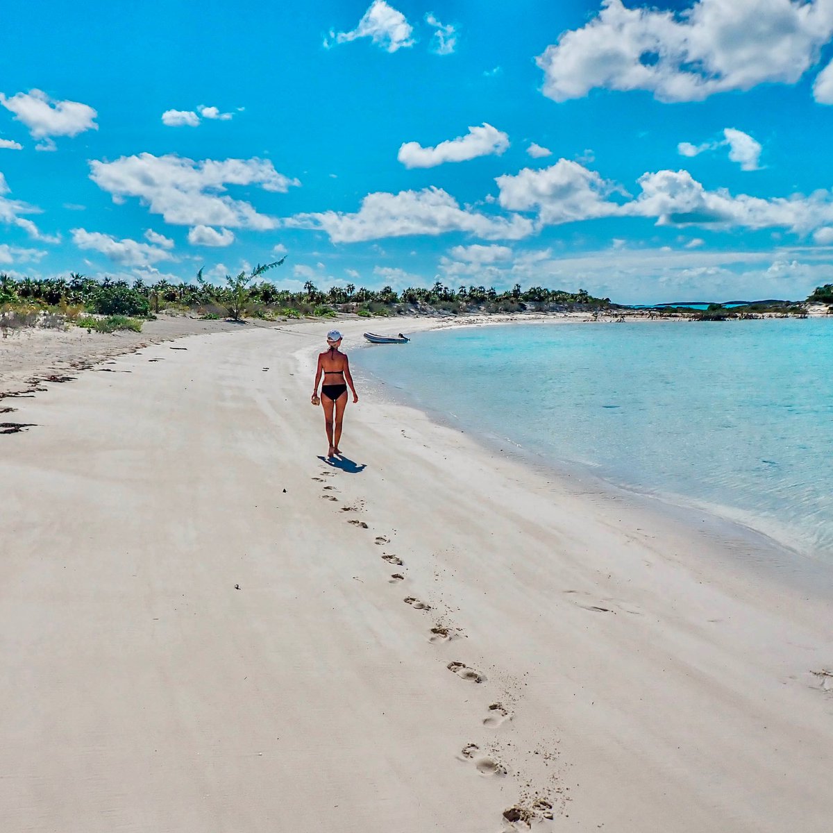 S/V HOPE tweet media