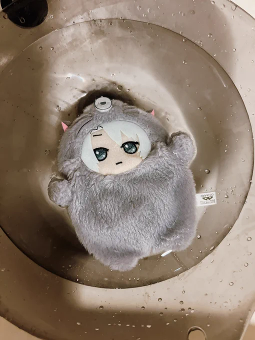 手術ついでに綿も新しくしてあげよっかなと思ってモン楽を綺麗にしてあげることにした。気持ちいい?悪くないぜ。 