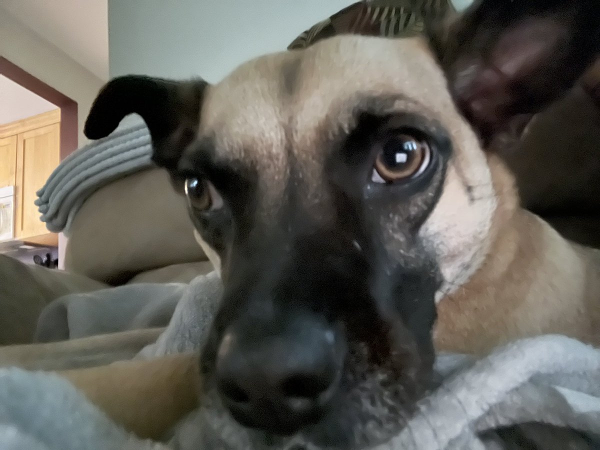 Happy National Dog Day!