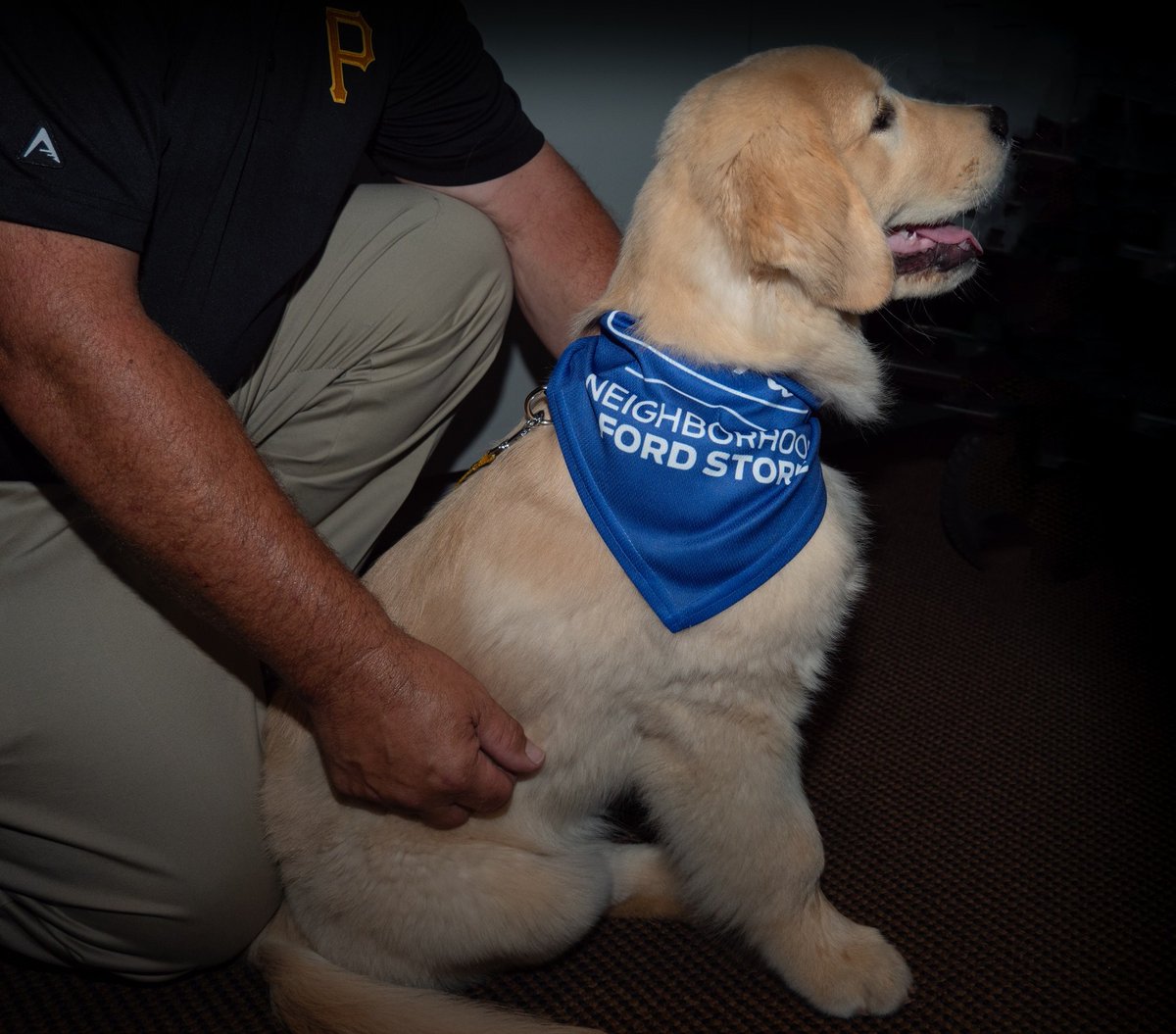 OurFordStore's tweet photo. ππΆπToday is #NationalDogDay! @OurFordStore
supports #MorrisAnimalFoundation through #GreaterPittsburghGoldenRetrieverClub Grateful to members in the longitudinal study to #stopcancer Please remember safe vehicle travel for pets too! @Thurbyjr @MaineGolden @CelinaPompeani https://t.co/GSeygzVF0Q
