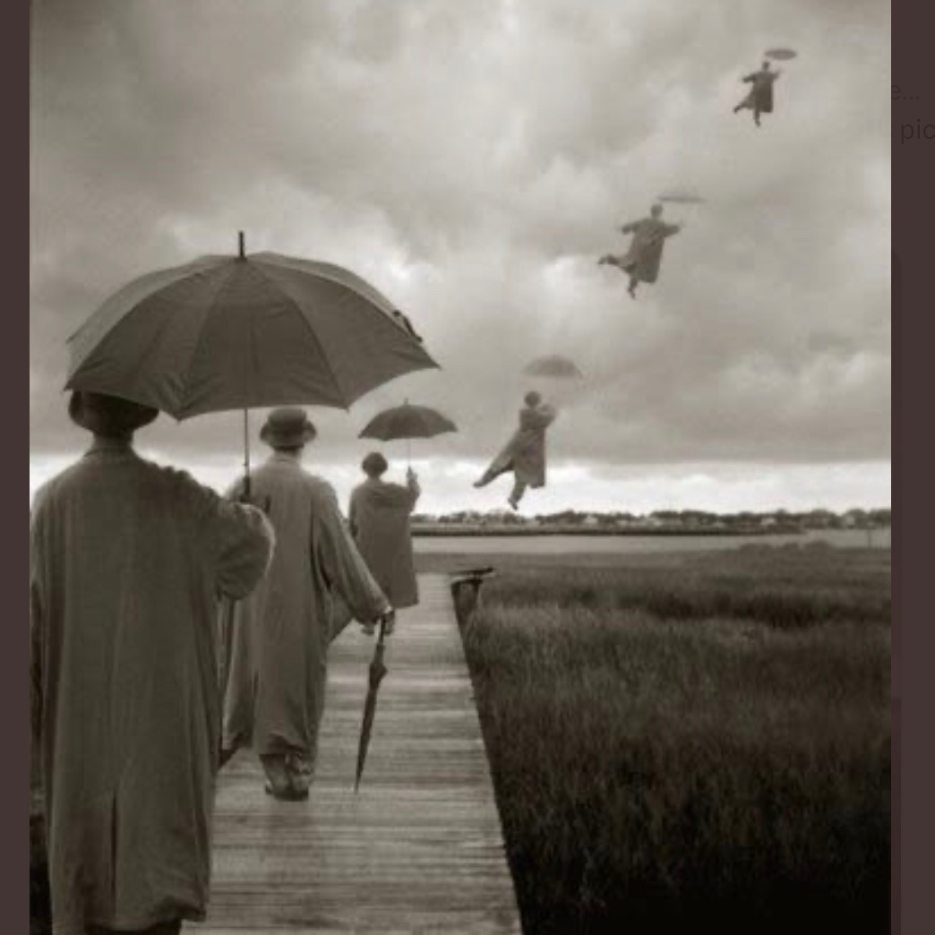 Mary Lewis McRae tweet media