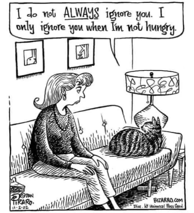Cat Food Breath (@catfoodbreath) on Twitter photo 