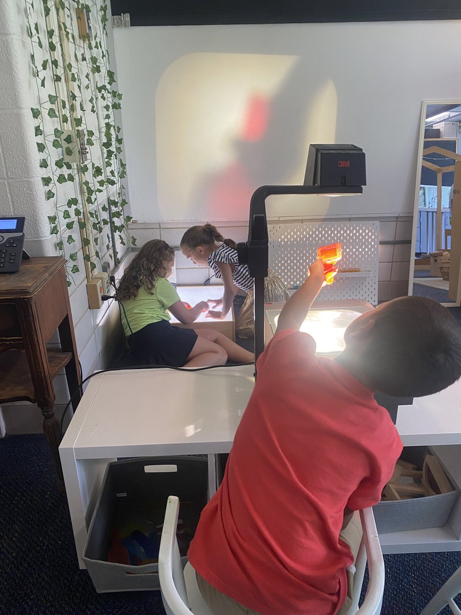 Liz Smallwood tweet media