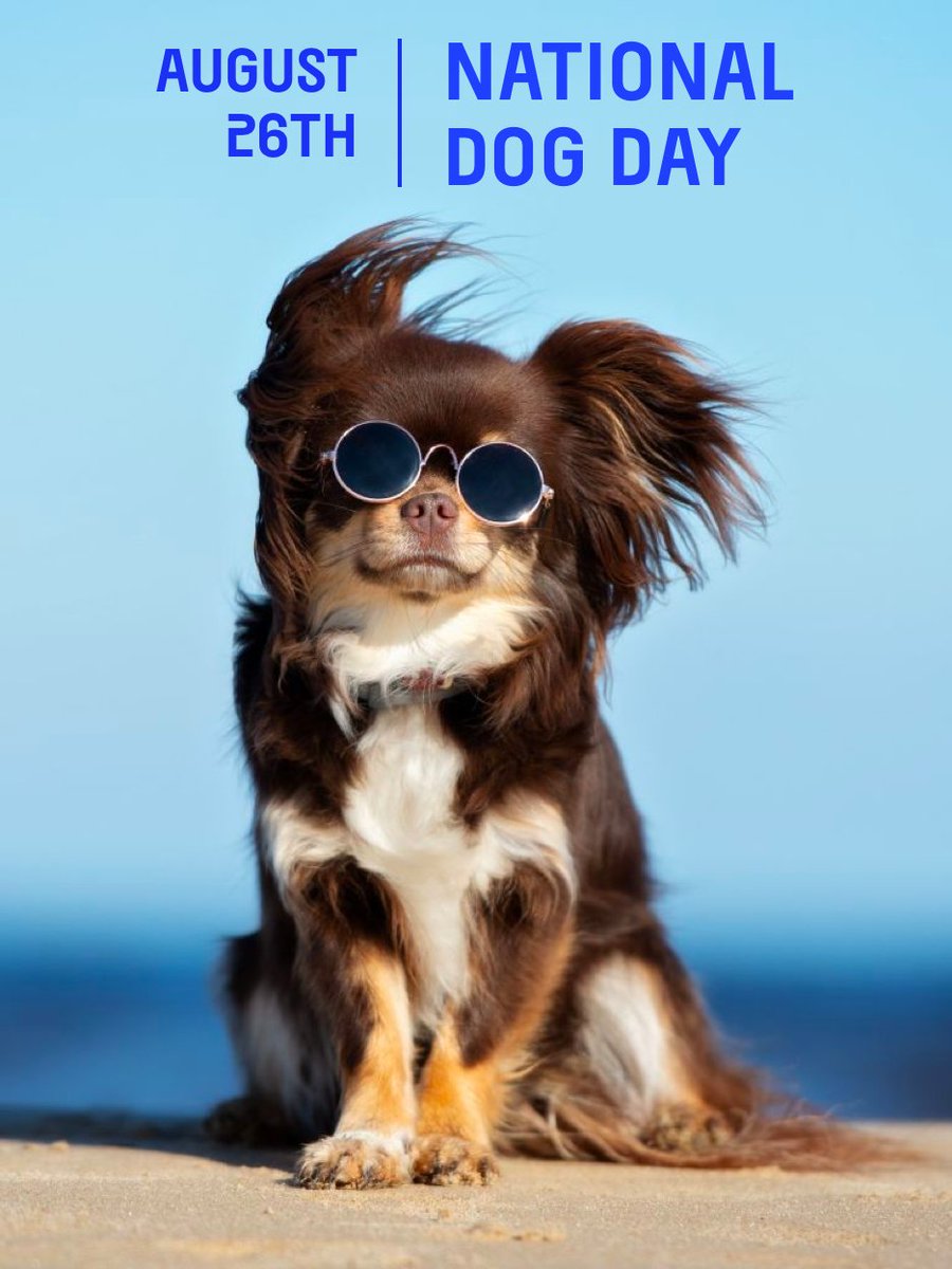 HAPPY NATIONAL DOG DAY!

Send us pics of your four legged friends in the comments below to celebrate our canine companions on this special day! 

#NationalDogDay2023
