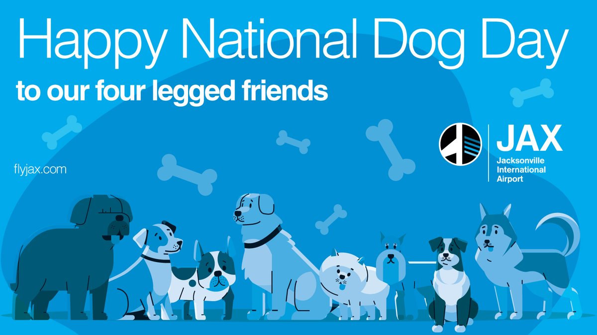 JAXairport's tweet photo. Happy #NationalDogDay to all our four legged friends, especially our #JAXPaws pet therapy dogs who visit with travelers and share their love. πΆ https://t.co/a3Ok4f93GI