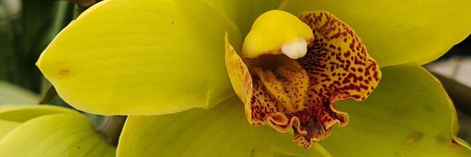 Highest level - when we are not hungry for anything any more but just sharing naturally love, knowledges<a href="/tag/%D0%BD%D0%BE%D0%B2%D0%B0%D1%8F%D0%B0%D0%B2%D0%B0%D1%82%D0%B0%D1%80%D0%BA%D0%B0"class="tags"><span>#новаяаватарка</span></a>