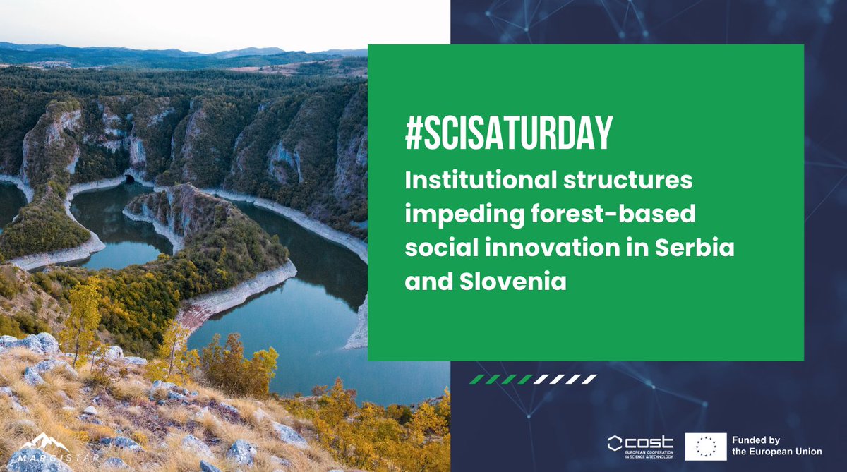 MARGISTAR_eu's tweet photo. This #SciSaturday, we're looking at the potential of forest-based #socialinnovation 🌳 with Dr @ninana09, Dr @TodoraRogelja, Dr Gerhard Weiss, Dr Alice Ludvig &amp; Dr Laura Secco👇 ⚡

https://t.co/iapay3MlLG 

#MARGISTAR https://t.co/hUSrkh9XZ8