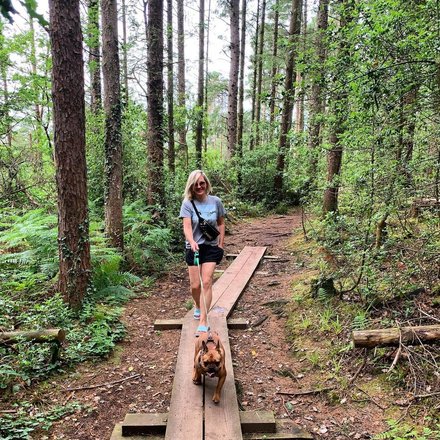 Limerick.ie tweet media