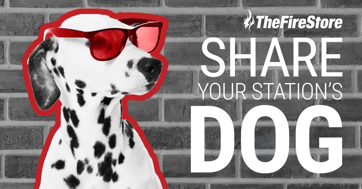 TheFireStore's tweet photo. Show off your loyal companions, the station dogs, who keep spirits high and tails wagging. Share your paw-some pics with us and let's show these canines some love! DM us your submissions to be featured!🐶🐾 #dogs #k9 #tfs #firefighters #thefirestore #firedept #stationdog https://t.co/2tmHjqKIXE