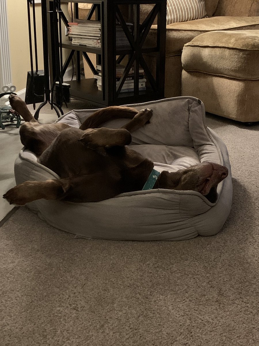 Mike Moss tweet media