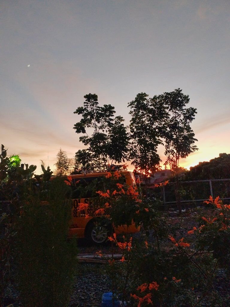 maannedc's tweet photo. Life lately have been full of simply existing....and to be honest a few breakdowns in between. https://t.co/8zIM1OyaqG