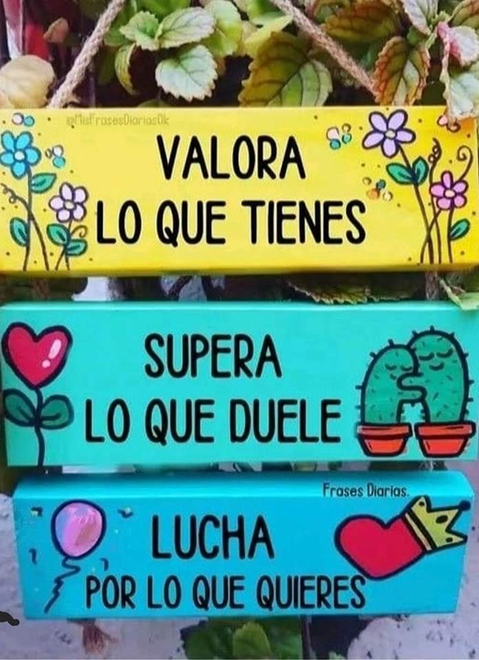 Todos los días ☑️