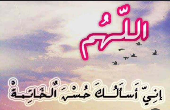 💞🦋 الفراشة الحائرة 🦋💞 tweet media