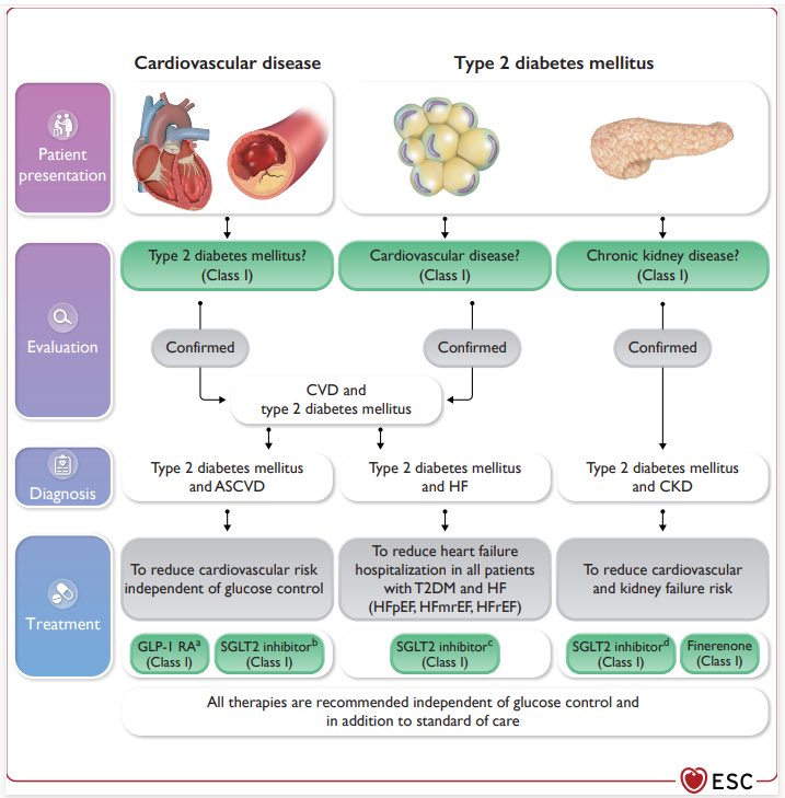 📢 2023 ESC #Guidelines for the management of pts w/diabetes
🚨 Highlights
👉3 patient profiles (DM+ASCV, DM+HF, DM+CKD)
👉 Prioritize agents w/CV benefit
👉GLP-1RA, SGLT-2is, Finerenone 1️⃣