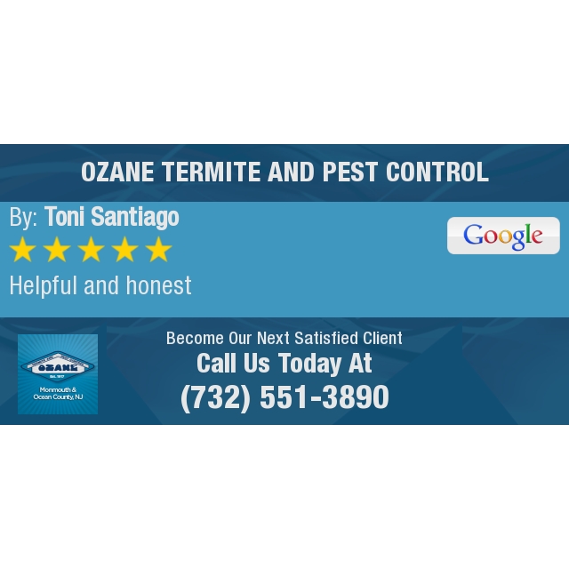 5 Star: Toni S. "Helpful and honest" maps.google.com/?cid=861250914…