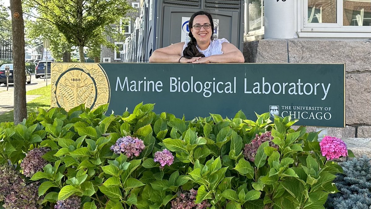 pairiba's tweet photo. Wonderful experience at Woods Hole Marine Biological Laboratories. #MBL #opticalmicroscopy https://t.co/BHpfGMnzkl