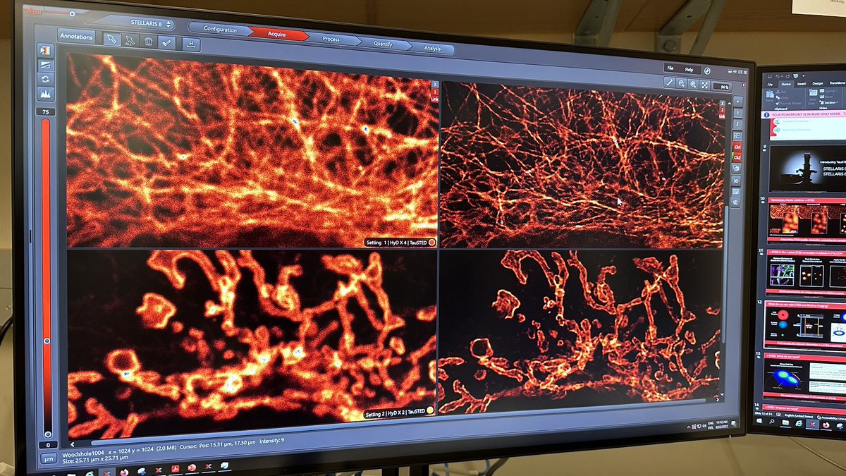 pairiba's tweet photo. Wonderful experience at Woods Hole Marine Biological Laboratories. #MBL #opticalmicroscopy https://t.co/BHpfGMnzkl