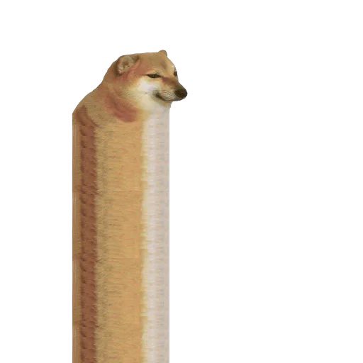 How long a bonk can we make?