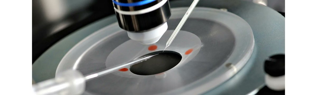 Scientifica_Int's tweet photo. #LabHacks: Pipette drift disrupts #electrophysiology recordings and distorts results. Here are some tips for identifying and resolving causes of drift, to keep your experiments running smoothly.
https://t.co/1RCDjkhLjp https://t.co/TYHsrIWLjX