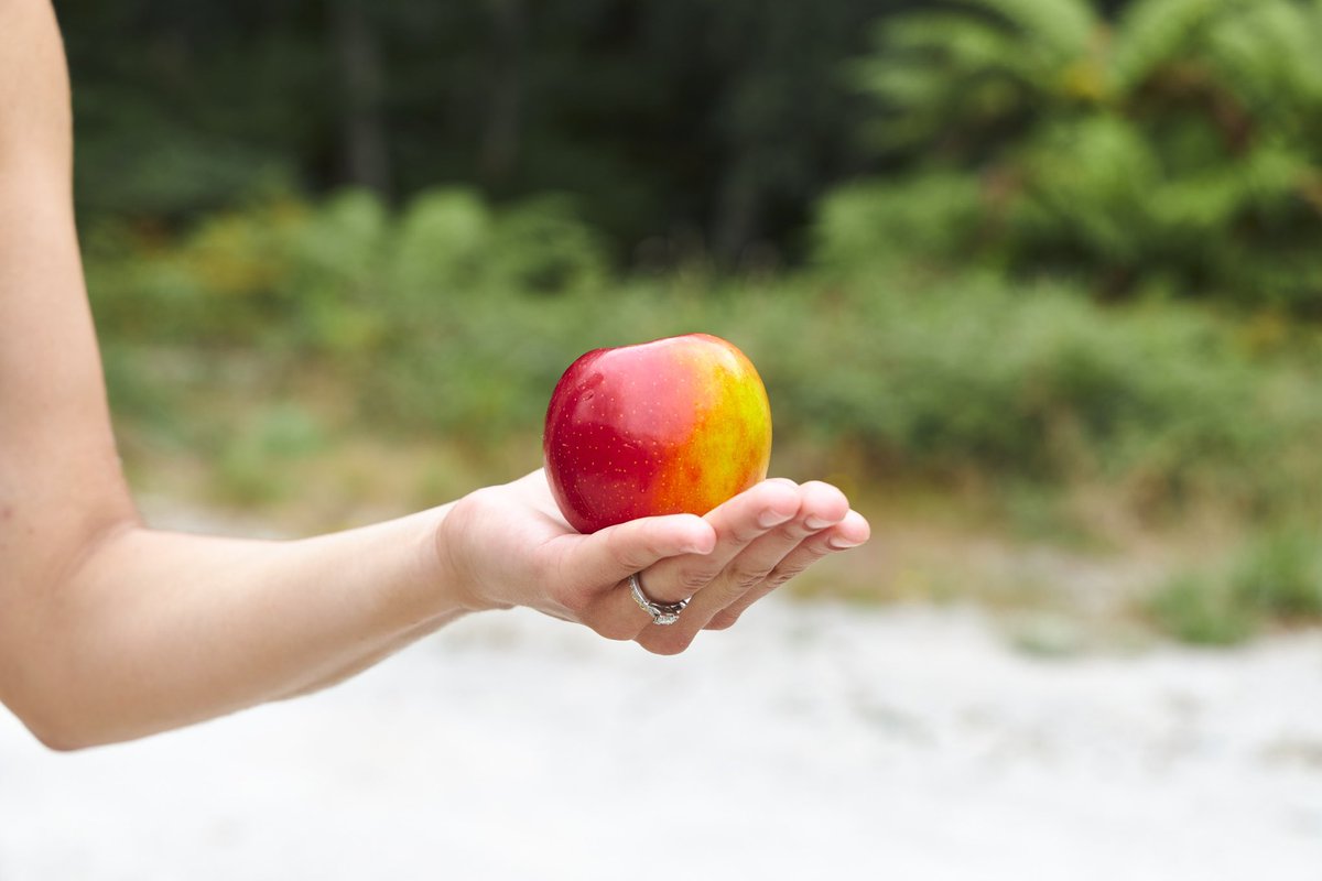 JazzAppleUK's tweet photo. How are you planning on spending your #bankholidayweekend 
.
.
.
.
.
#weekend #itsjazztime #snacktime #weekendsnacks #apples #bankholiday #augustbankholiday https://t.co/CVmf0GyNsV