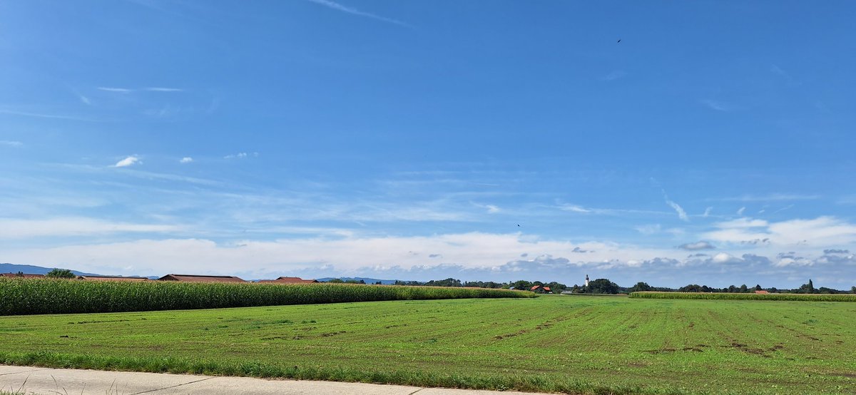 StormchaserAlp1's tweet photo. Da heute fast einheitlich alle Modelle 1 - 2 Superzellen in Südbayern berechnen hab ich mich im Bereich Rosenheim positioniert. In der Ferne sieht man bereits den Komplex, der sich formiert. Ich halte euch auf dem laufenden. Passt auf euch auf⚠️⚠️ @Kachelmannwettr https://t.co/iMeohRWnAf