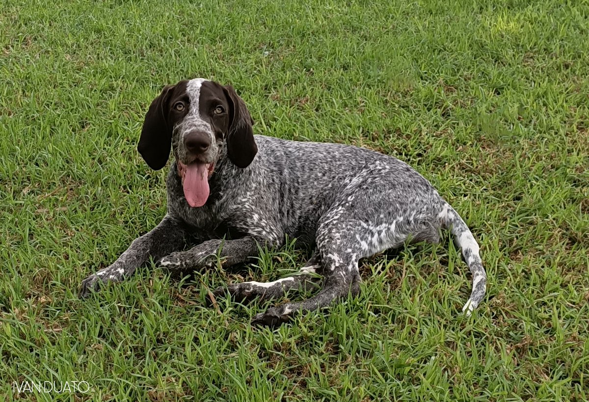 Ivan Duato (@duatoivan_) on Twitter photo 