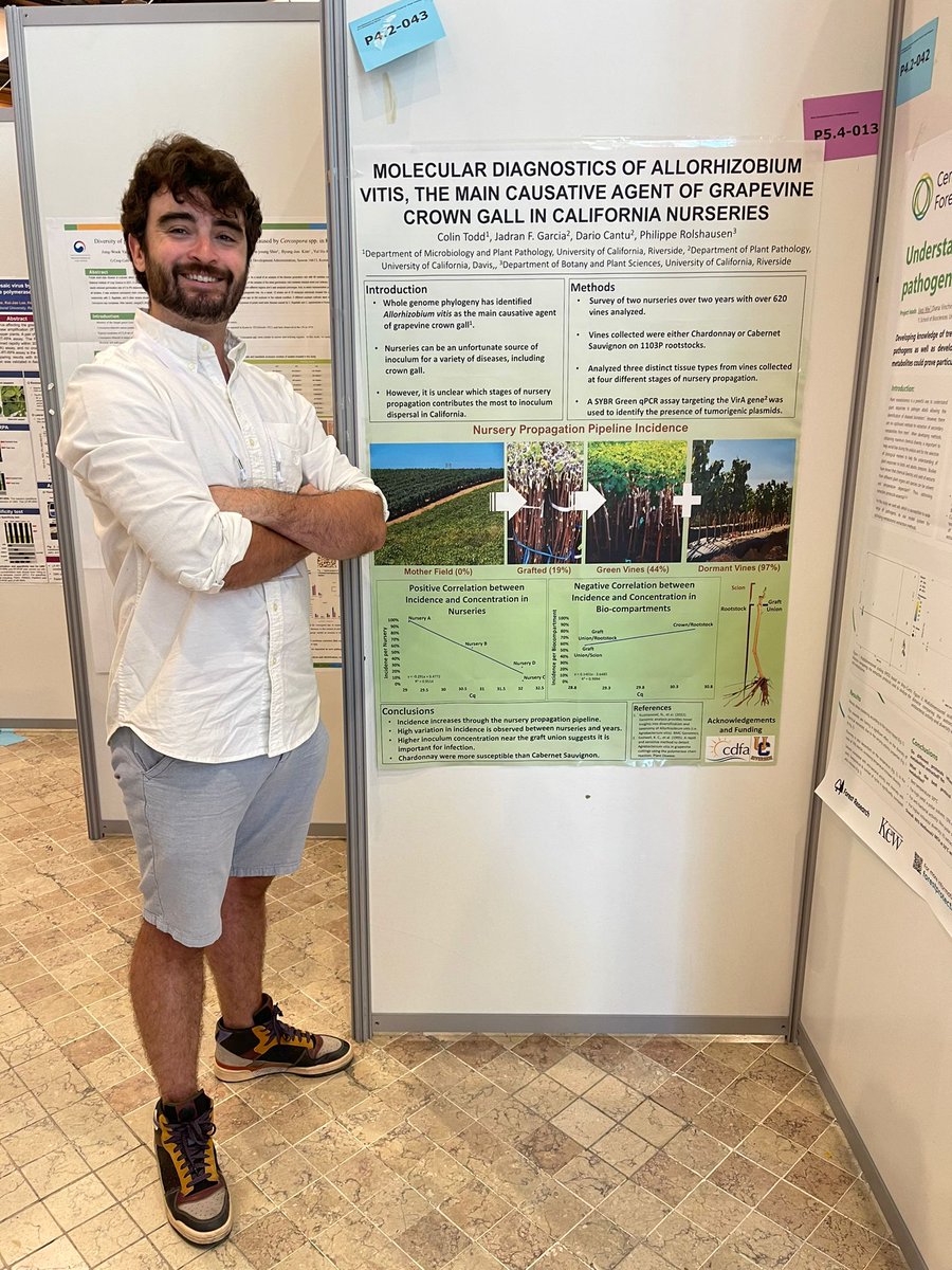 Colin Todd tweet media