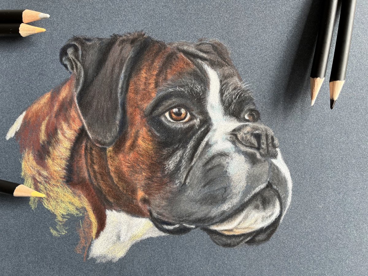 JenningsLAmanda's tweet photo. Not yet finished, but I thought I would share with you how I have been getting on.
We are currently working on a website to offer pet and people commissions and wildlife artwork as well as prints and cards. So Watch this space! https://t.co/IkxwmlMDir #petportrait #pet #dog #art https://t.co/UaC1Oxq3Hv