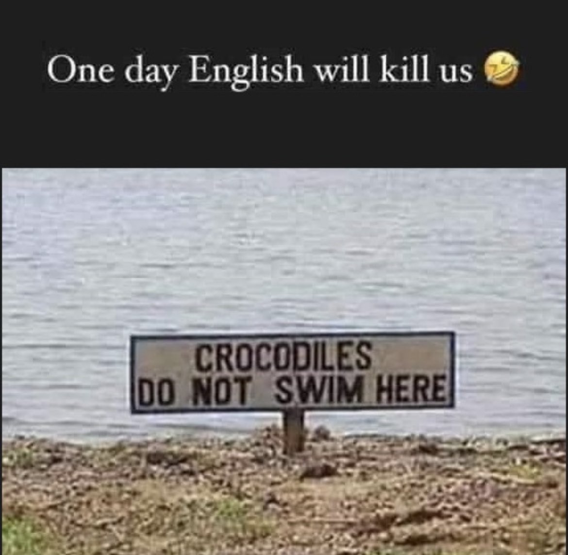 Russ Webb ✌🏻 tweet media