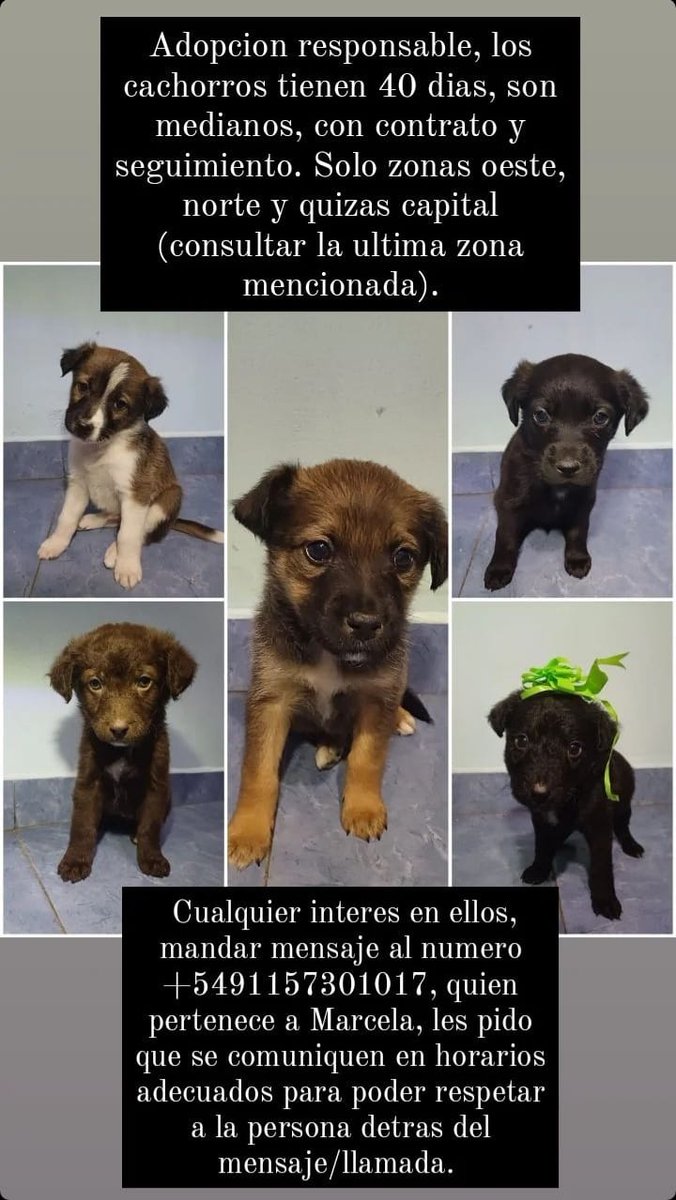 litann_'s tweet image. 