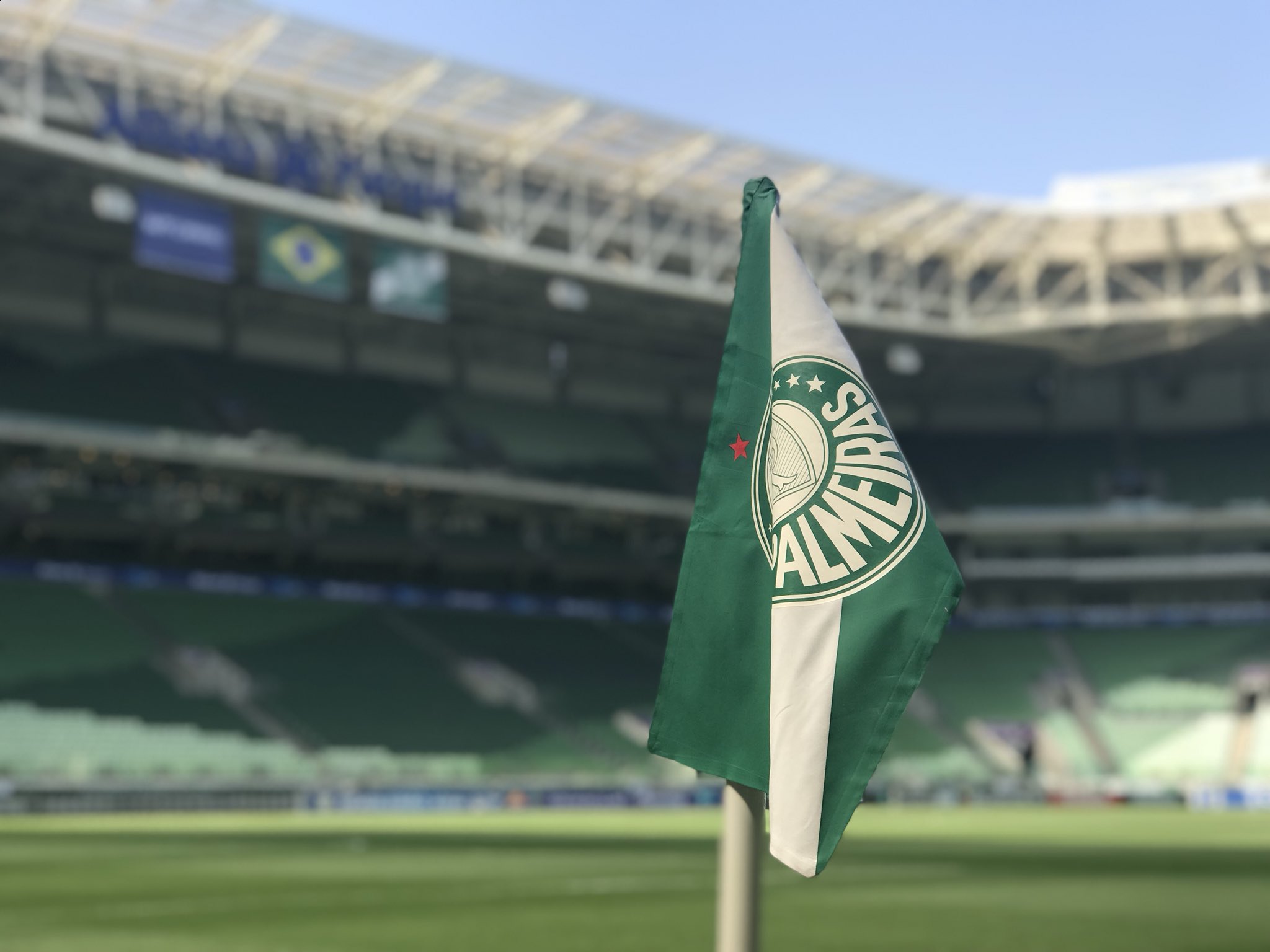 FELIZ ANIVERSÁRIO VERDÃO! Ídolo parabeniza Palmeiras pelos 109 anos