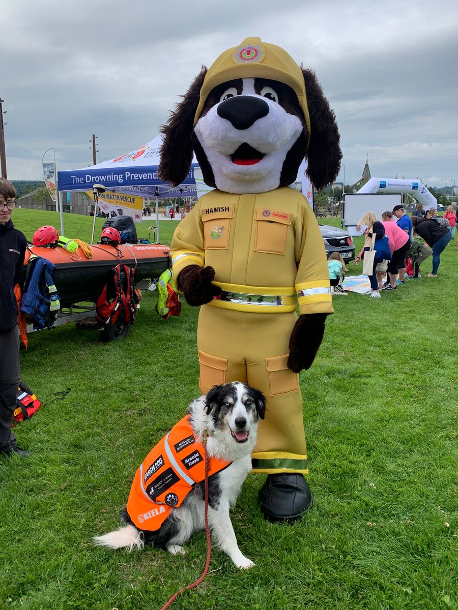 TrossachsSAR's tweet image. Happy international dog day from all our USAR search dogs
@ArnoldClark @fire_scot @PoliceScotland @PSOSDogs @PSOSStirling @PSOSForthValley #volunteers #searchdogs