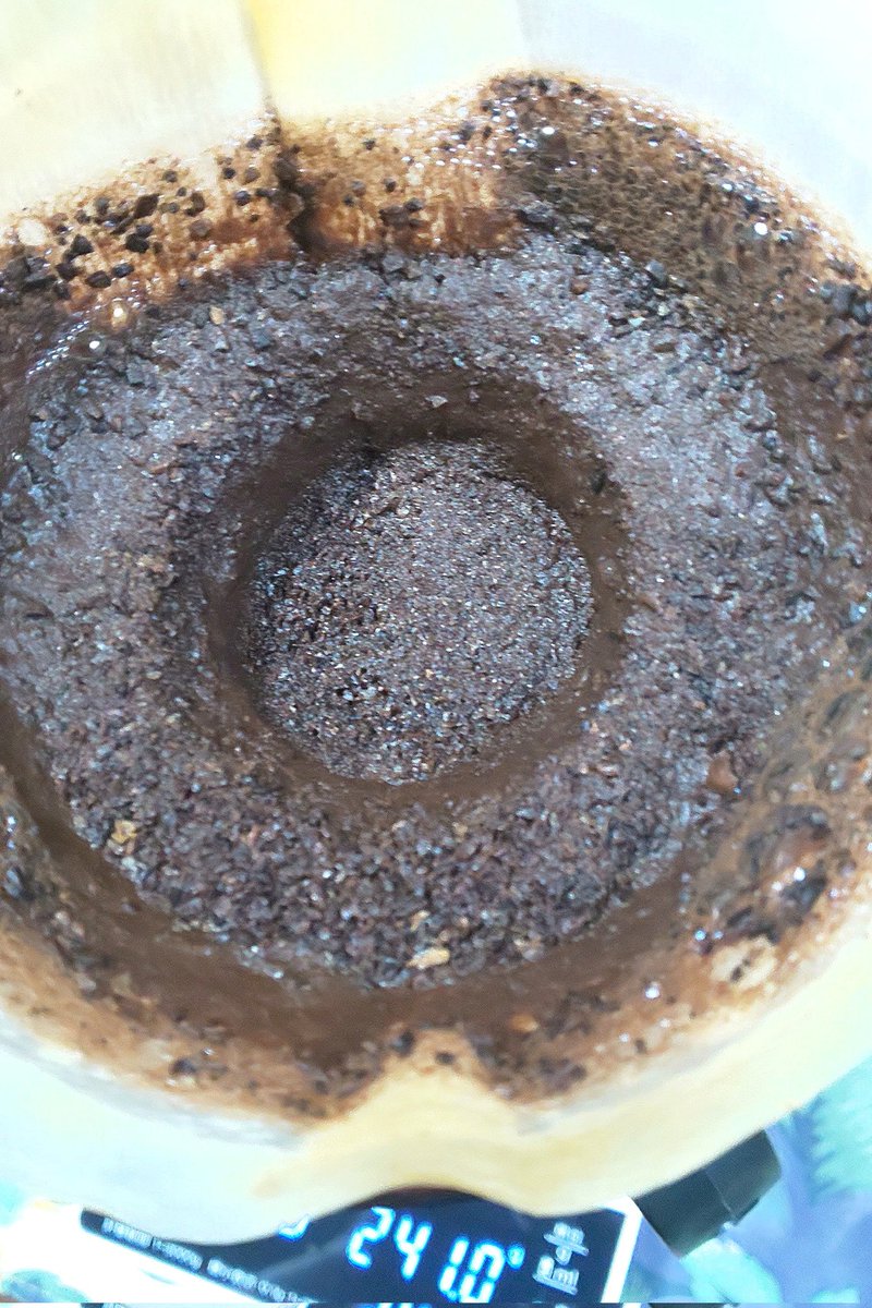 HeberekeC's tweet photo. 淹れてみまみた
( ・`д・´)ｷﾘｯ👍️✨☕️🧊ｶﾗﾝ🎵

本日は、#JUKUCY_COFFEE_ROASTERS さんのJUKUCY BLEND(旧ver.)🇬🇹🇭🇳🇧🇷🇪🇹

お豆さん：20g 中細挽
注湯量：240g
抽出量：200g+🧊200g
#NOUD diamond dust 86
cotter cotton filter 1-2
ｼﾞｭｰC&amp;ﾊﾟｯｼｮﾝﾊﾌﾙｰﾂna酸味
残るｶｶｵ感👩‍🦱旨ｯ‼️ https://t.co/YfpHS2Kdsu