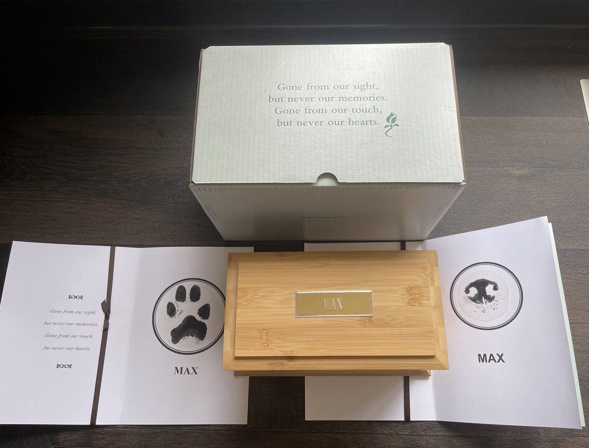 samsparkes999's tweet photo. On #InternationalDogDay we bought Max home ๐ along with a beautiful paw and nose print. Our vets have been wonderful ๐
Sleep well my gorgeous boy xx
#NotJustAPet ๐พ https://t.co/qLB6dOOHQI
